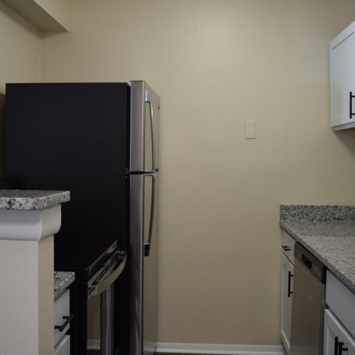 Renovated SS Appliance pkg